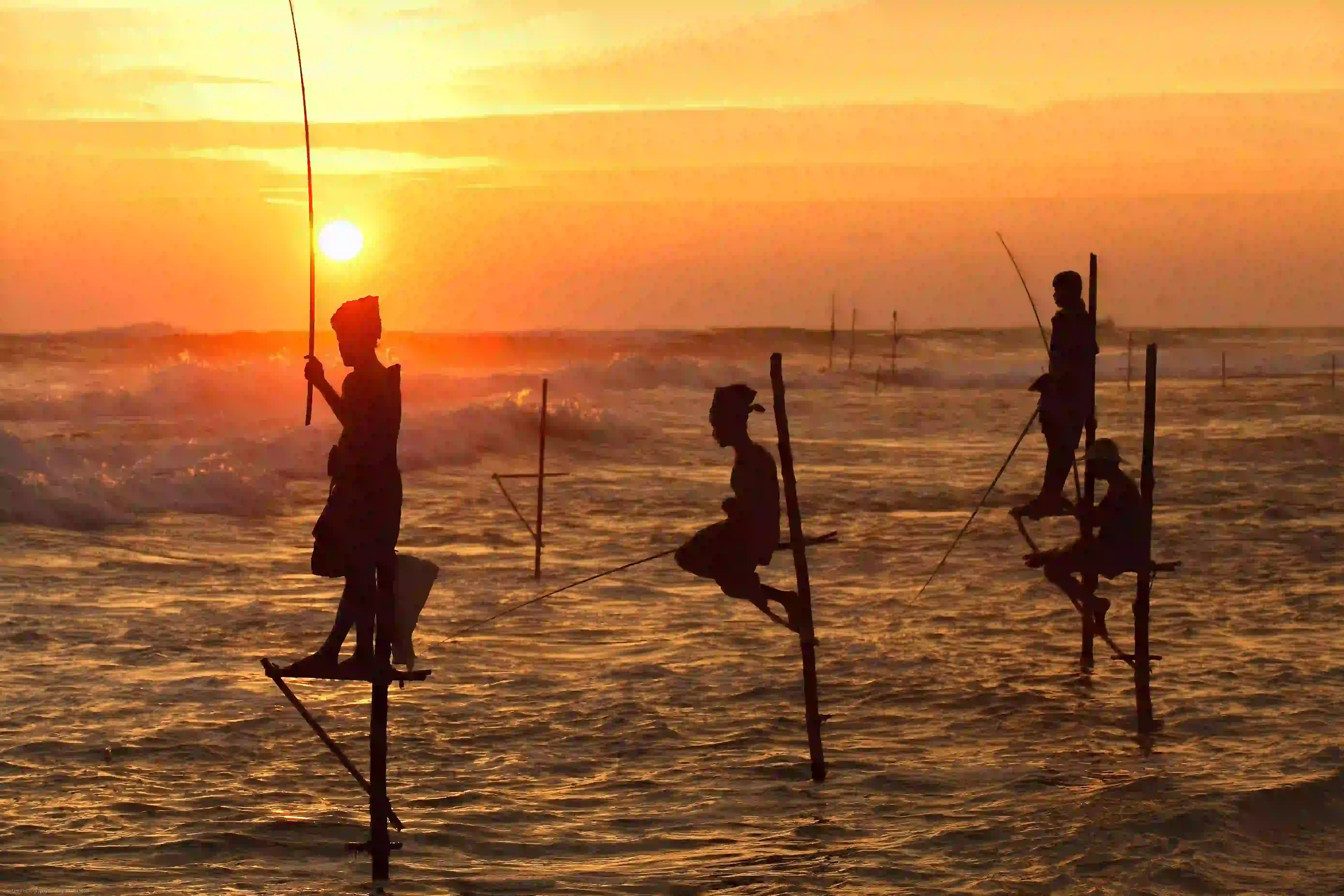 Stilt in Koggala