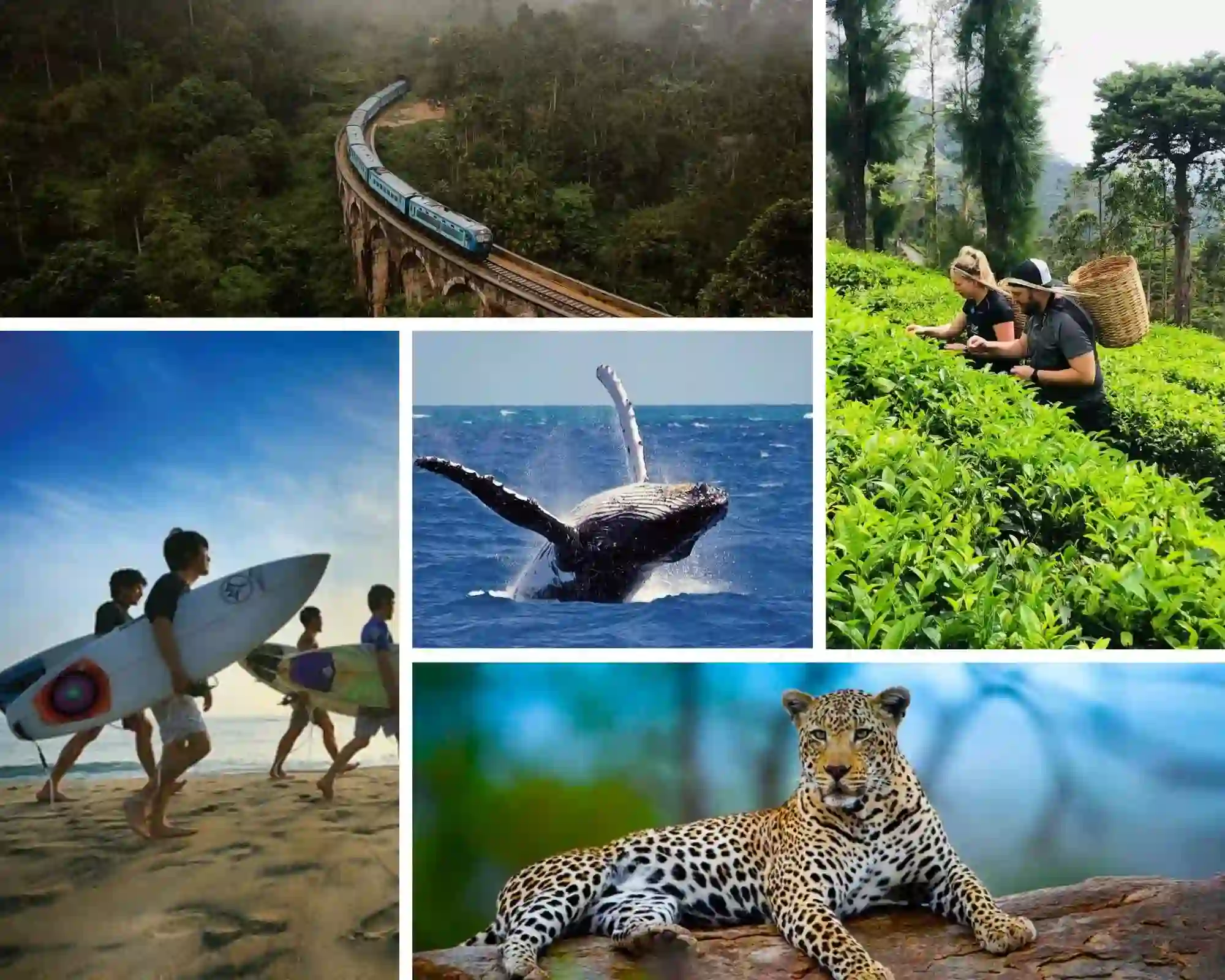 Adventure travel experience collection in Sri Lanka