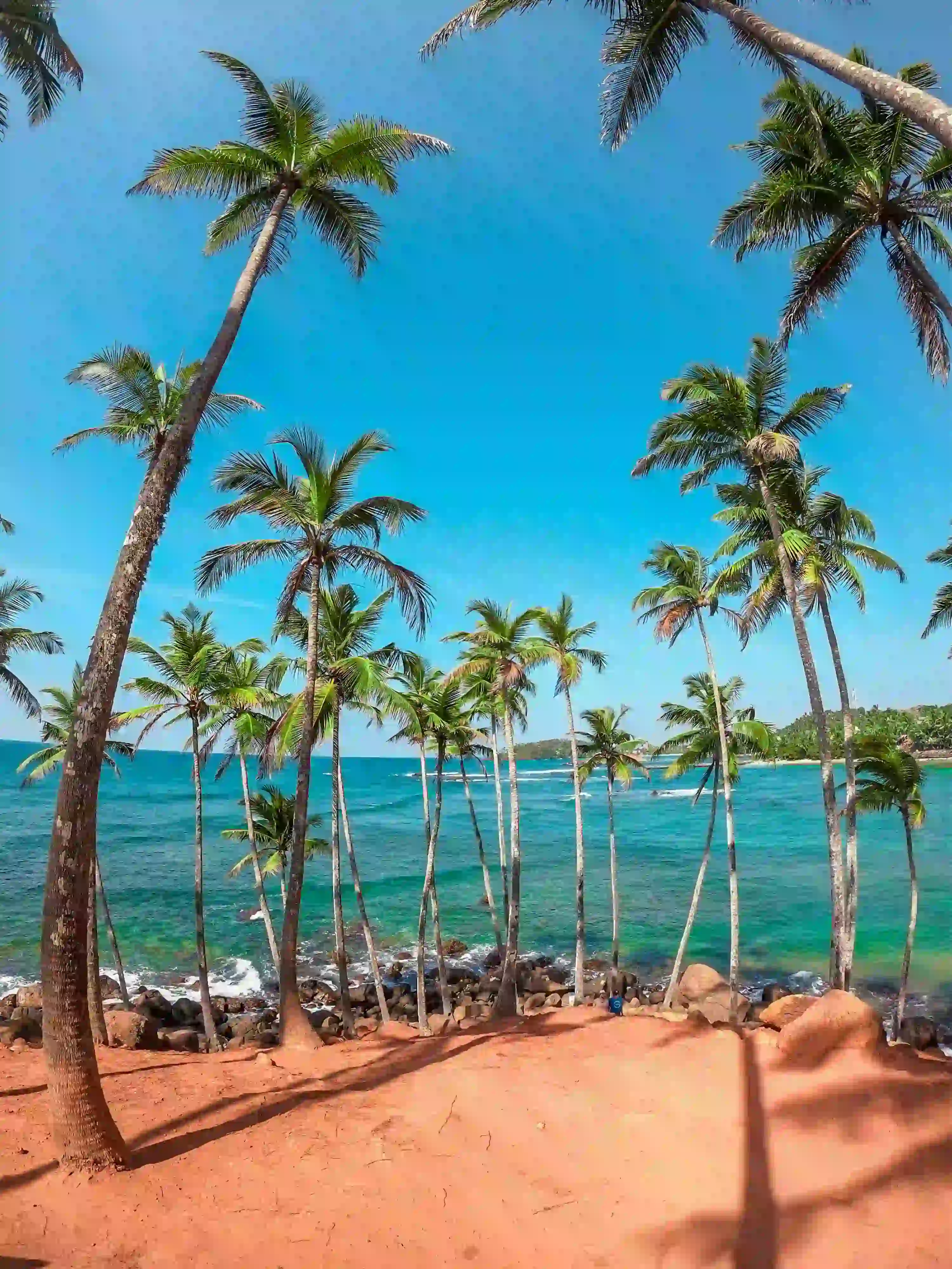 All in One Sri Lanka - Travel King Sri Lanka