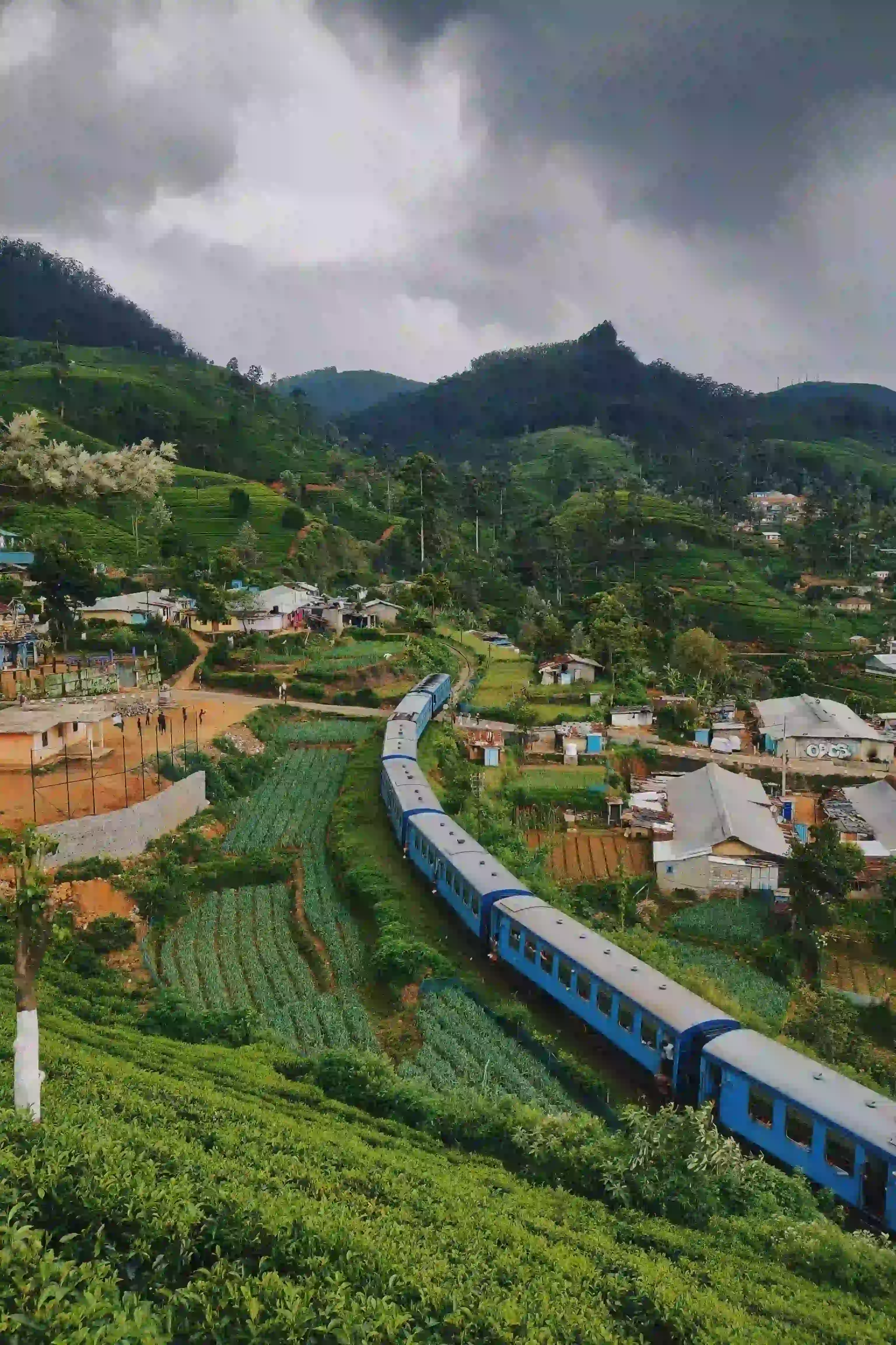 Wallet Friendly - Travel King Sri Lanka