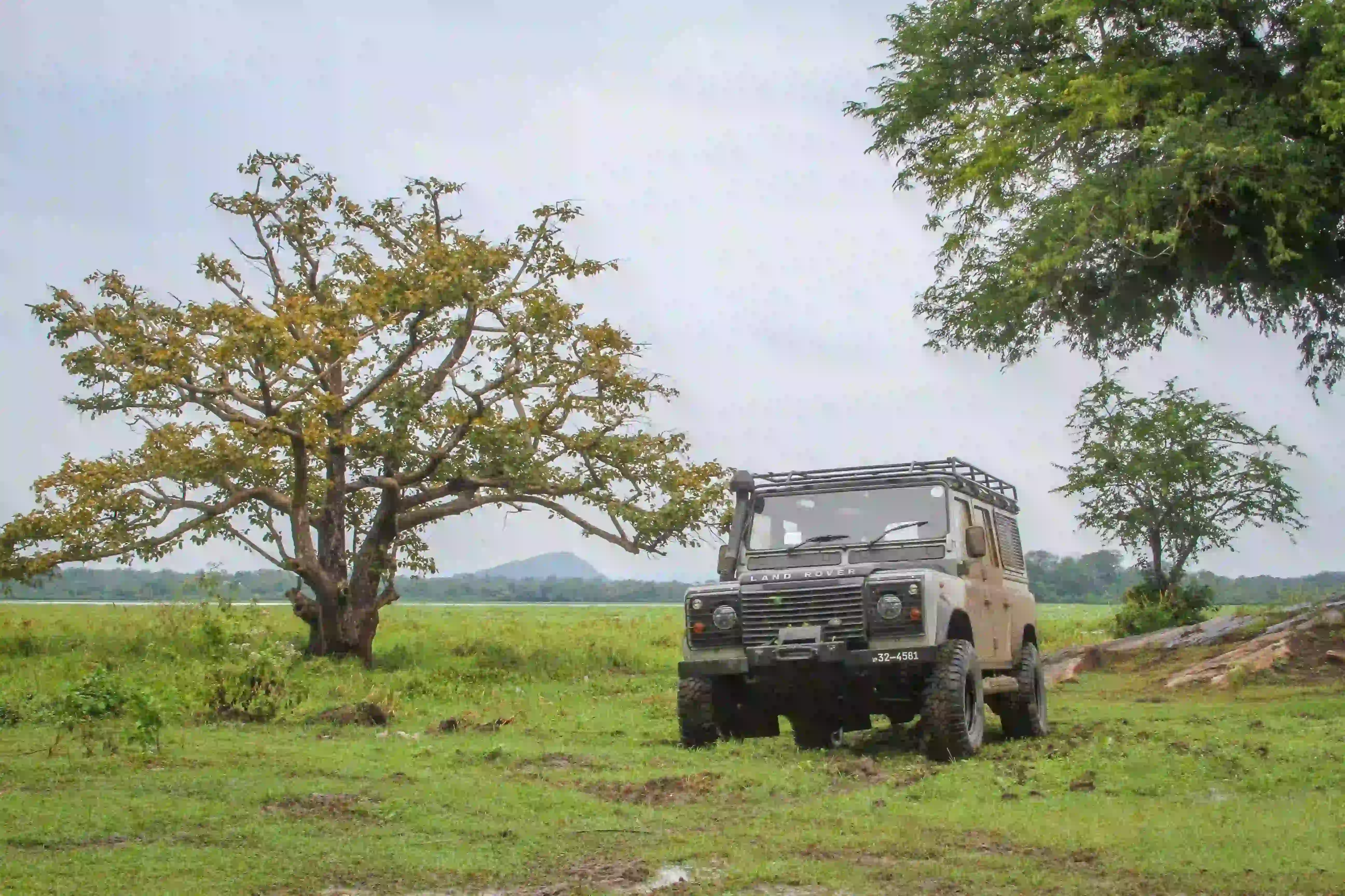 Grand Ceylon - Travel King Sri Lanka