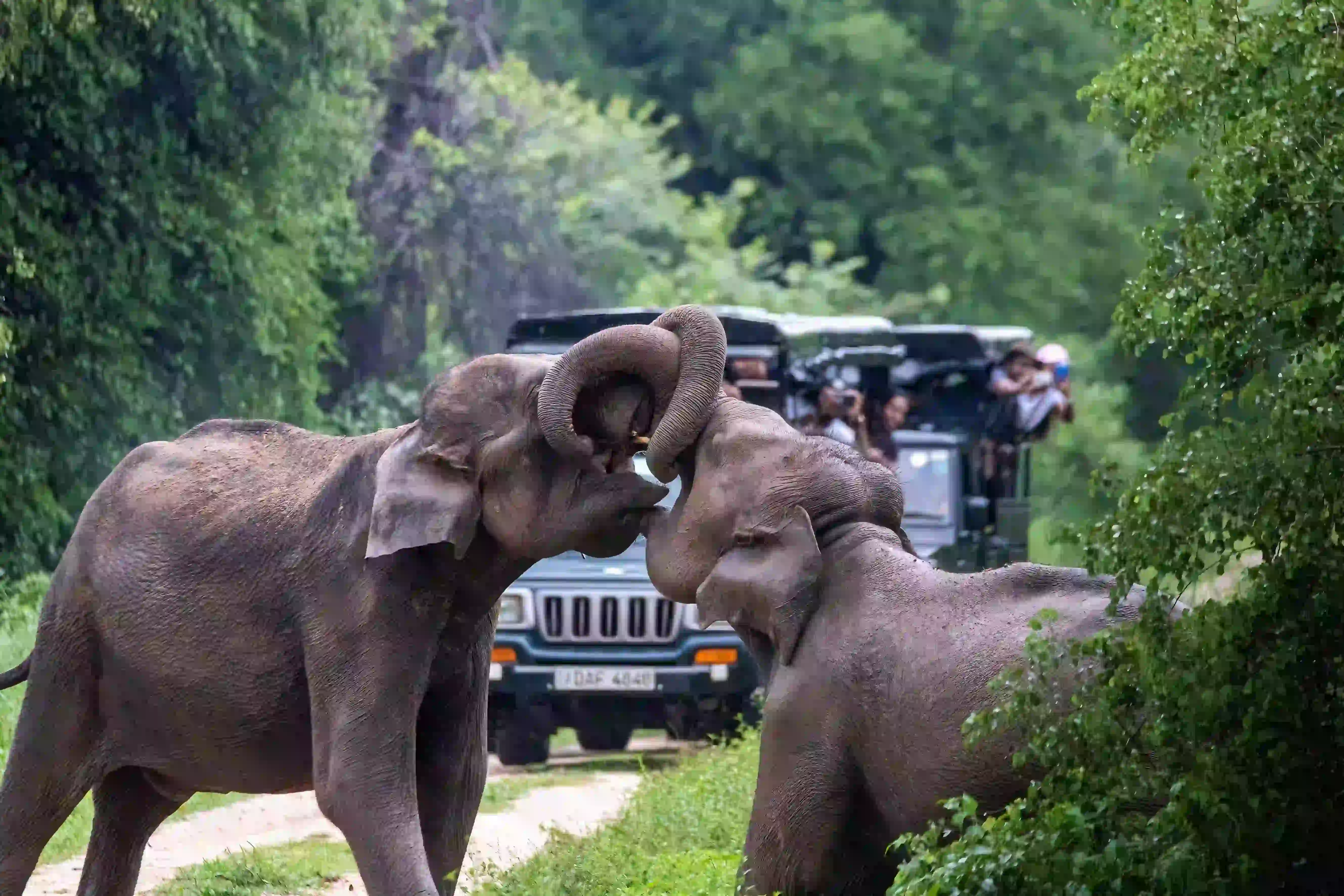 Nature Lovers - Travel King Sri Lanka