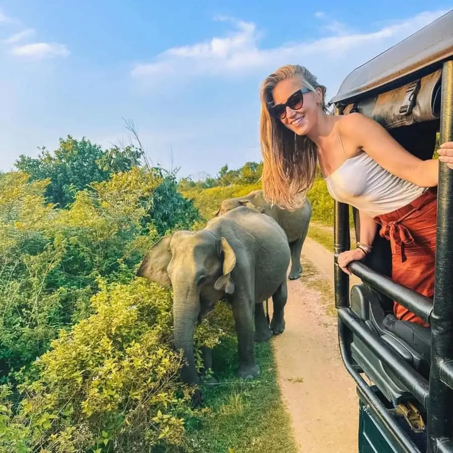 Jeep-Safari im Hurulu Eco Park zur Beobachtung wilder Elefanten im Urlaub in Sri Lanka